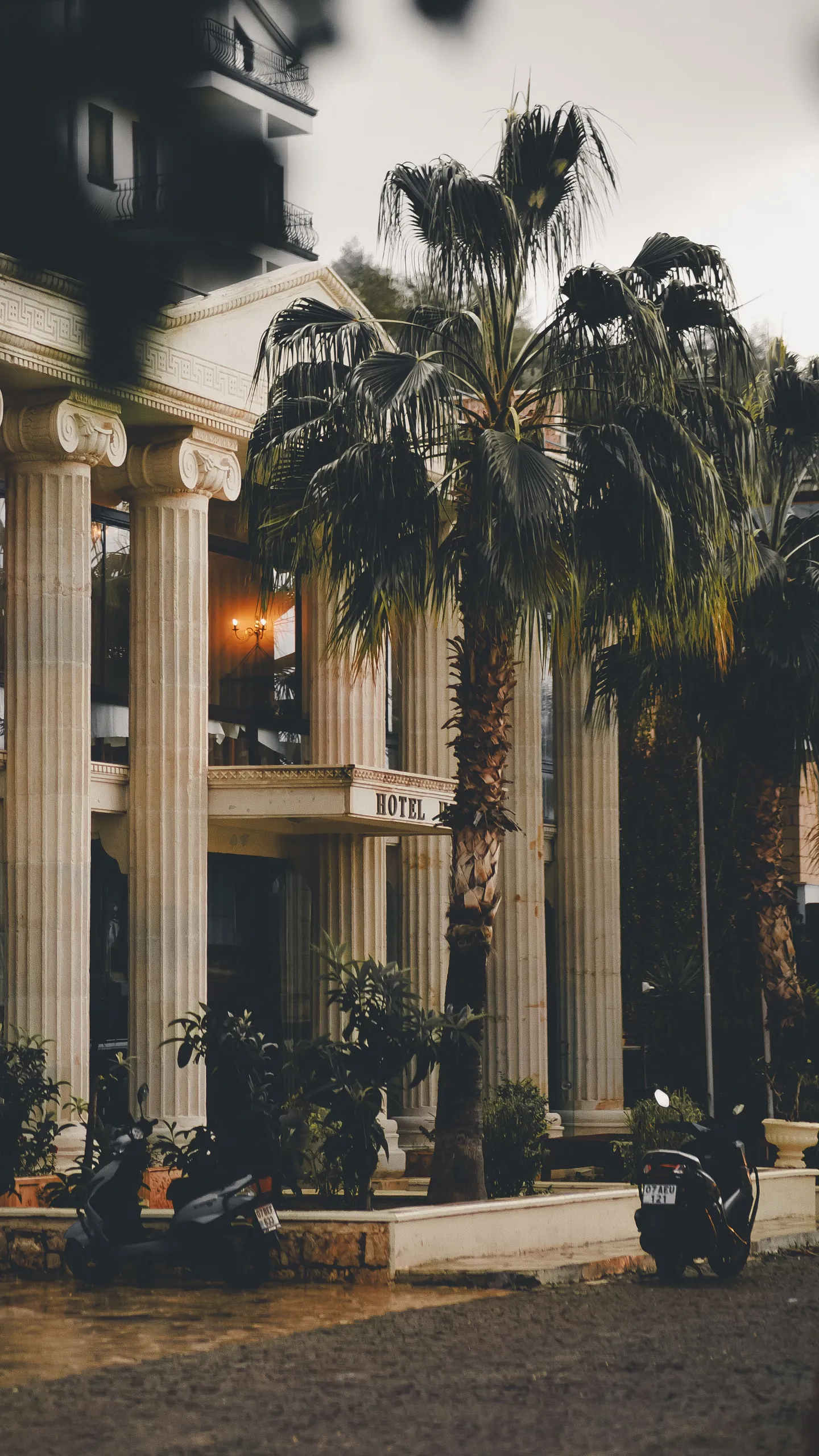 Palm-lined hotel colonnade, a hospitality reference